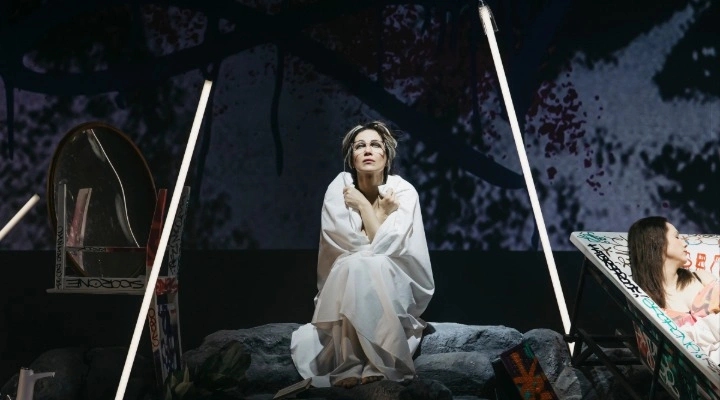 Дорогая Елена Сергеевна Дорогая Елена Сергеевна