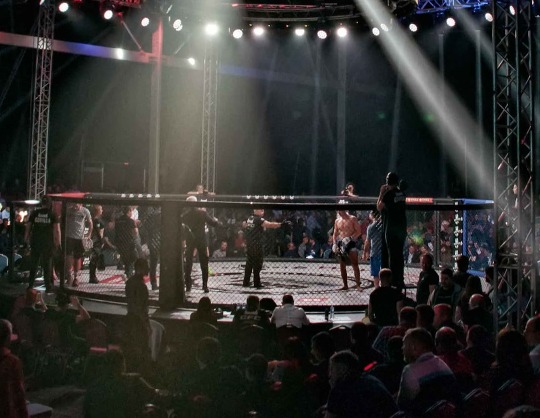 EFC 42: Шлеменко-Гусейнов