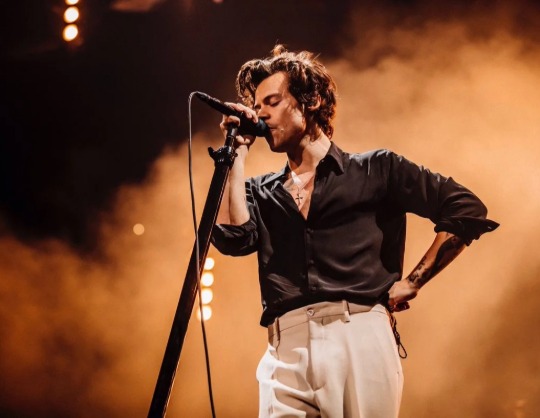 Harry styles
