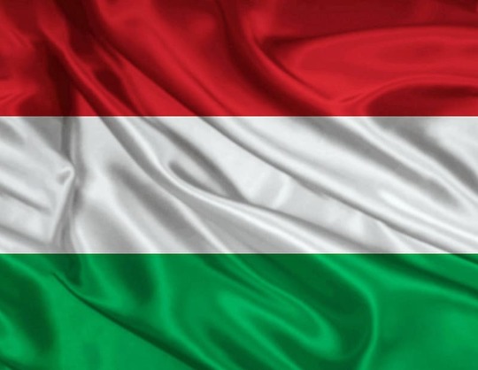 Сборная Венгрии по футболу