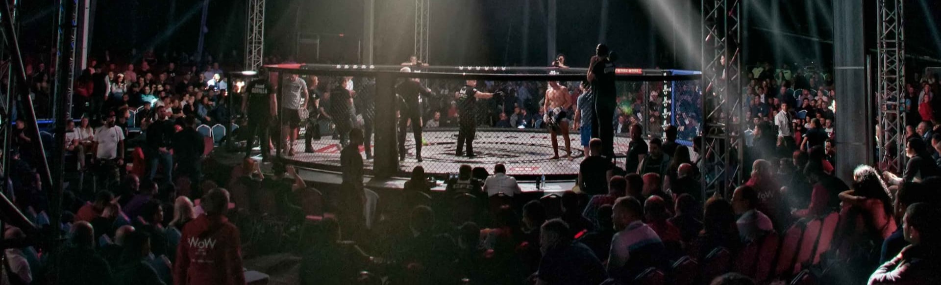 EFC 42: Шлеменко-Гусейнов EFC 42: Шлеменко-Гусейнов