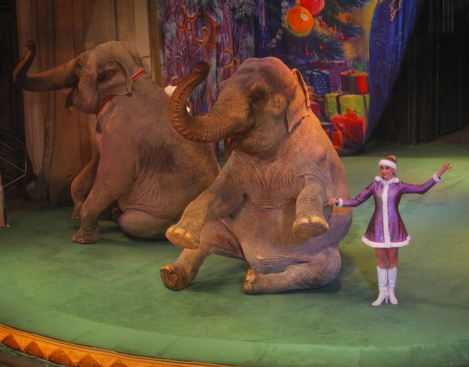 Уголок Дедушки Дурова Картинки Фильм – Telegraph