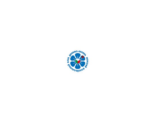 ВК Динамо Ак Барс