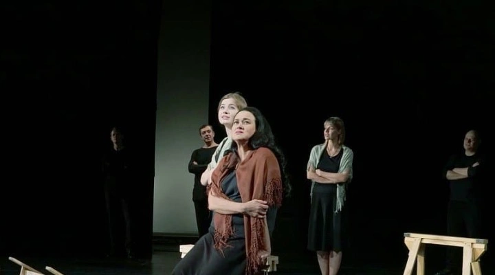 Пролётный гусь