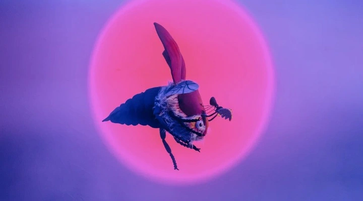 Приключения Муравья Приключения Муравья