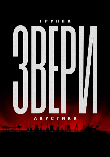 Концерт группы Звери