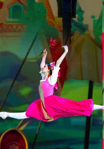 Спектакль «Аленький Цветочек». Театр «Кремлёвский балет» в Москве: билеты