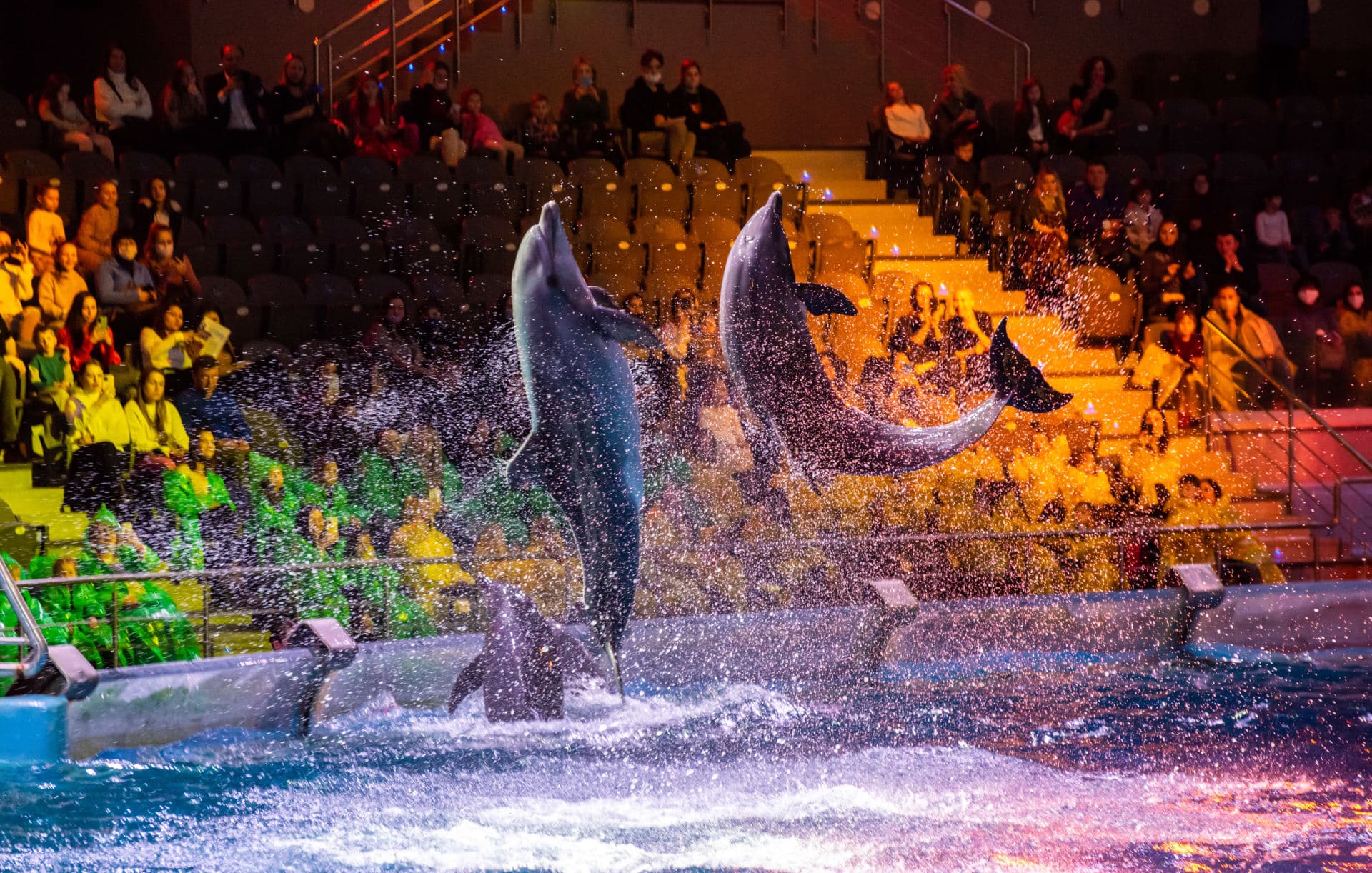 Затерянный мир (Москвариум) - купить билеты на шоу в Москве 2024 KASSIR.RU