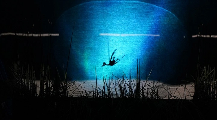 Гадкий утёнок Гадкий утёнок