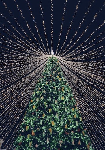 Новогодняя елка "Щелкунчик" logo