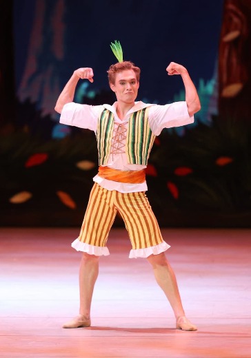 Балет «Чиполлино» в Новосибирске: билеты