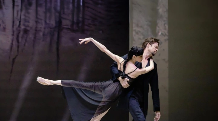 Браво, зрители!