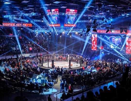 Fight Nights Global. Бой за титул чемпиона в среднем весе