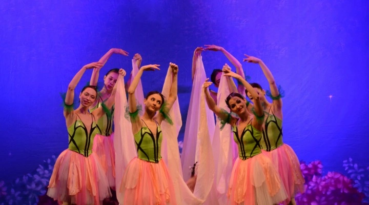 Дюймовочка (гастроли Театра Детского Балета)