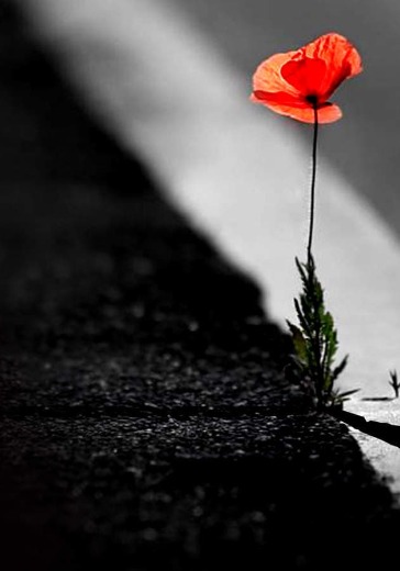 Спектакль «Платонов. Рассказы» Спектакль «Платонов. Рассказы»