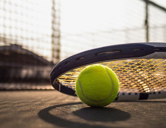 World tennis league. Season II