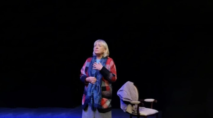 Подлинная история фрекен Хильдур Бок, ровесницы века (гастроли Диалог) Подлинная история фрекен Хильдур Бок, ровесницы века (гастроли Диалог)