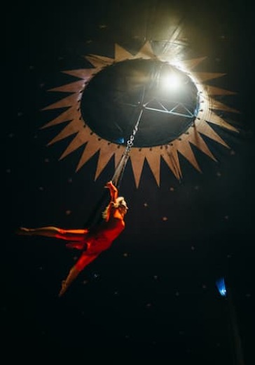 Мастер-классы эстрадно-цирковой студии «Цирк сестер Фоминых» logo