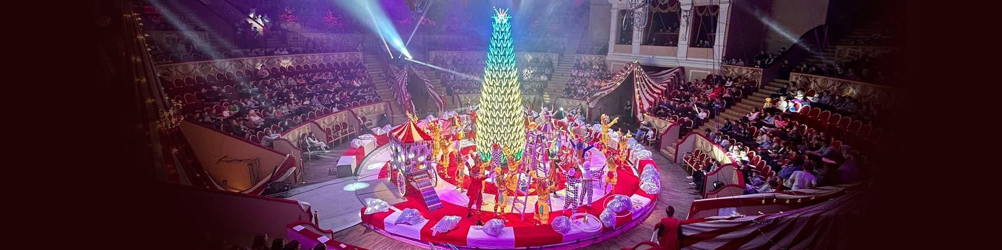 Билеты на новогоднее представление в Цирке на Фонтанке