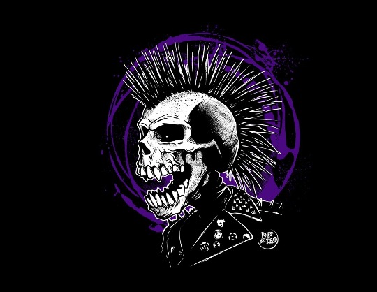 Концерт группы «The Exploited»