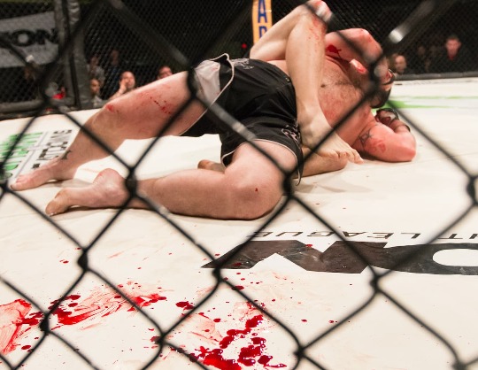 Бои без правил Fight Riot Open FC