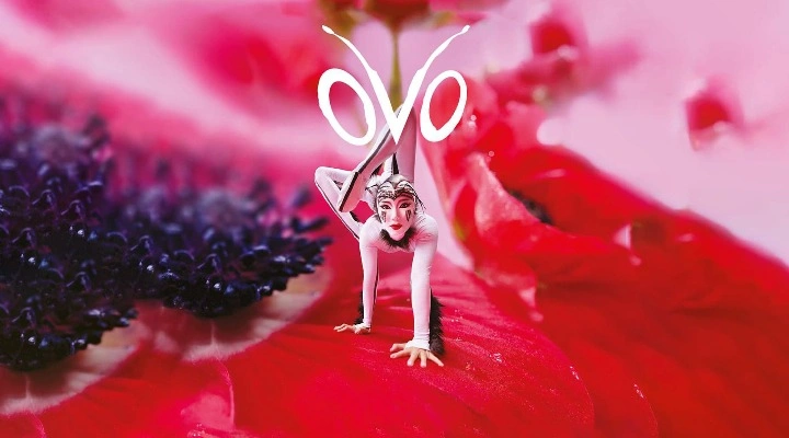 Cirque du Soleil «OVO»