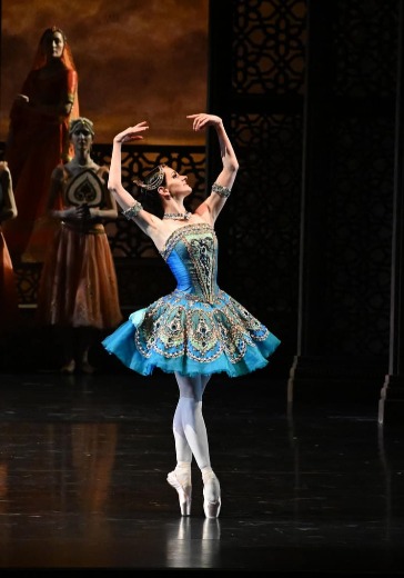 Балет «Баядерка» в Новосибирске: билеты