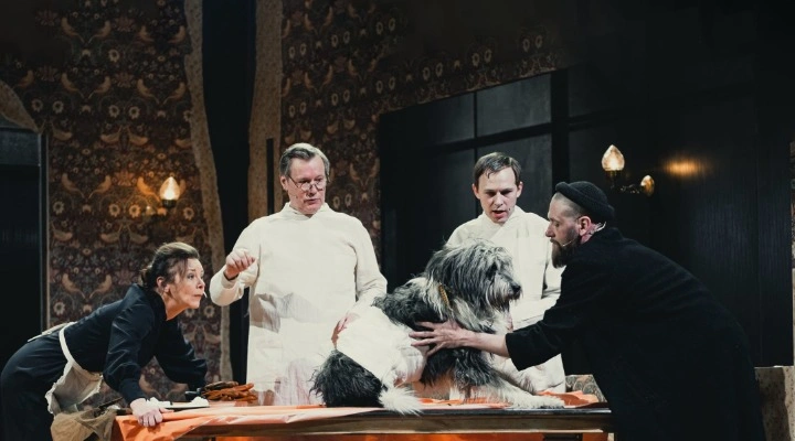 Собачье сердце