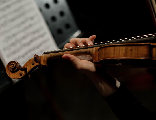 Концерт оркестра musicAeterna. Дирижер – Теодор Курентзис