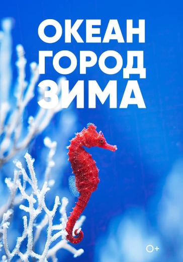 Экспозиция Аквариума «Океан, город, зима» Экспозиция Аквариума «Океан, город, зима»