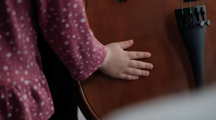 Эффект Моцарта