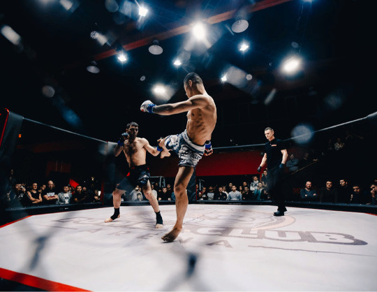 Вечер профессиональных боев MMA UFL