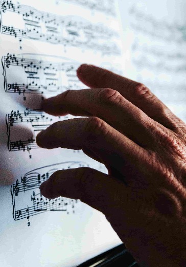 Концерт «Моцарт. Волшебная флейта» logo