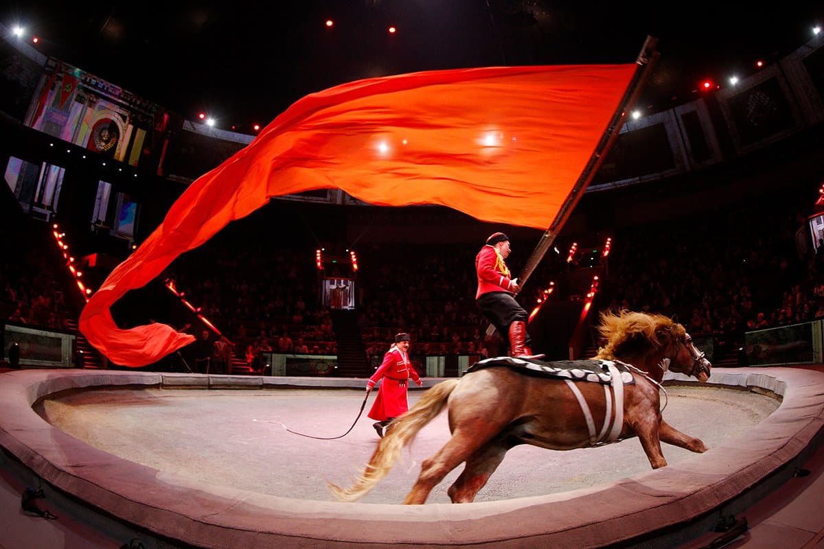 在莫斯科大剧院购买马戏表演