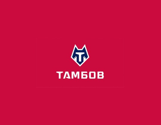 ФК Тамбов