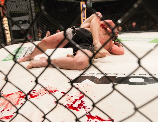 Турнир по смешанным единоборствам Кёртиса Блейдса vs Жаилтона Алмейда UFC Fight Night