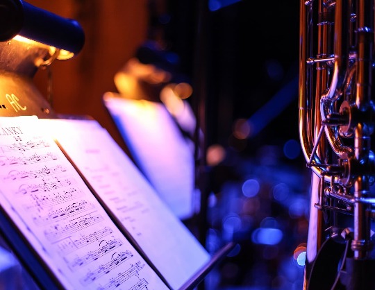 Концерт St.Petersburg Ska-Jazz Review
