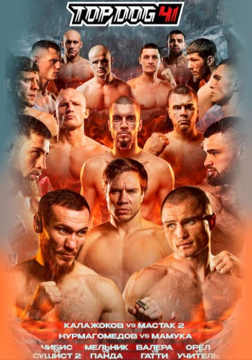 Турнир TOP DOG 41