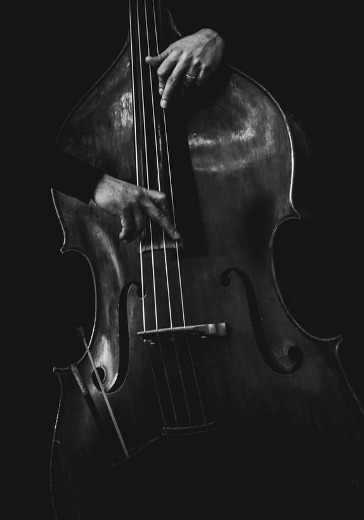 С. Поспелов. «Времена года»: Вивальди, Пьяццолла logo