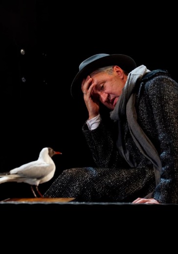 Спектакль «Чайка» в Санкт-Петербурге: билеты