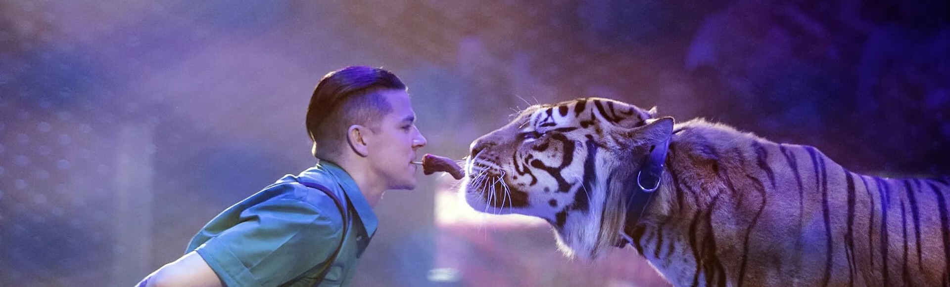 Circus