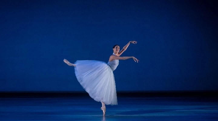 Отражения. Королевы вариаций Отражения. Королевы вариаций