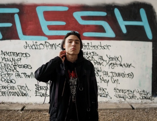 Flesh