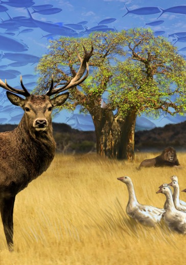 Спектакль «Чайка»