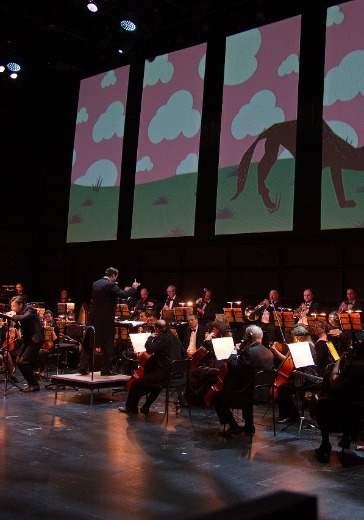 Спектакль «Знакомство с оркестром» в Москве: билеты