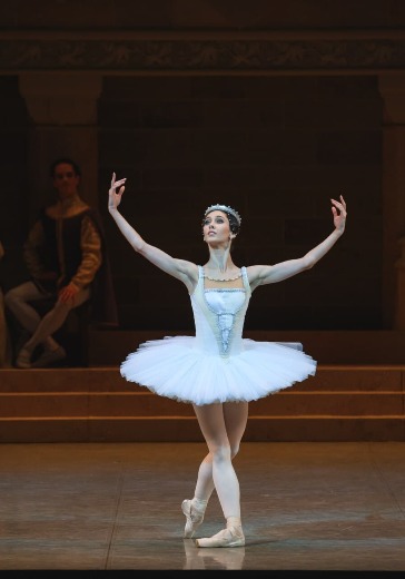 Балет «Раймонда» в Перми: билеты