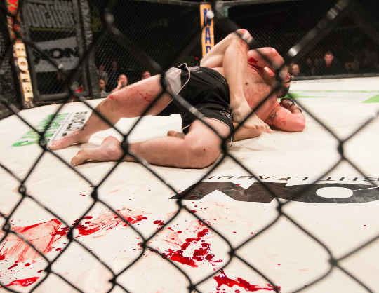 Турнир Arena Fighting Championship. Амирхан «Белый Лев» Оев vs Марат «Мотиватор» Балаев