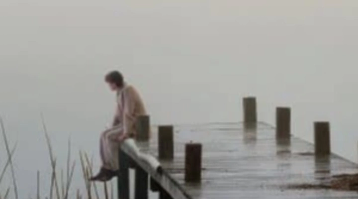 Чайка Чайка