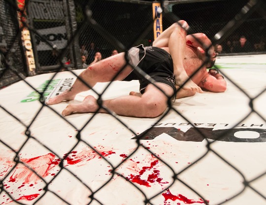 Турнир HFC MMA. Перс vs Шовхал