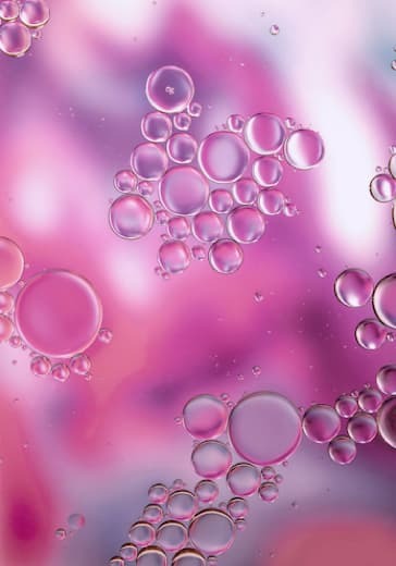 Спектакль «Волшебное перо жар-птицы»